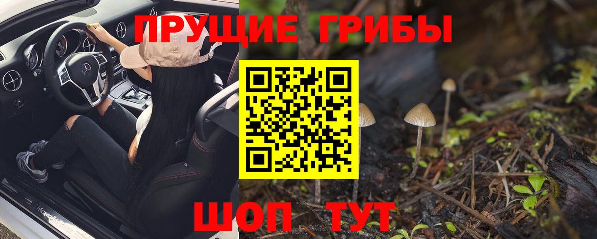 Псилоцибиновые грибы мухоморы  Псилоцибиновые грибы Psilocybine cubensis  Вход с VPN  даркнет сайт  Верхний Уфалей 